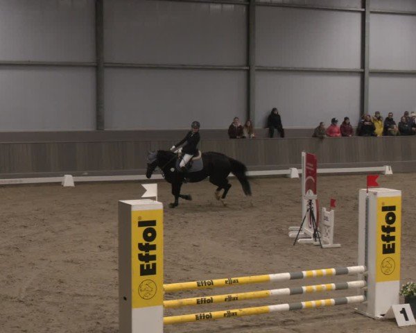 Reitturnier Münster-Handorf 2024