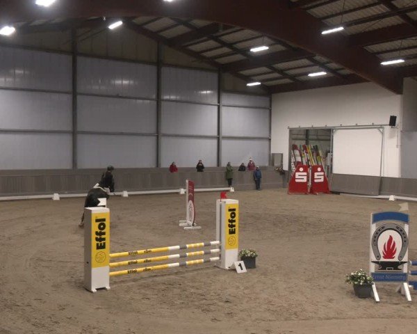 Reitturnier Münster-Handorf 2024
