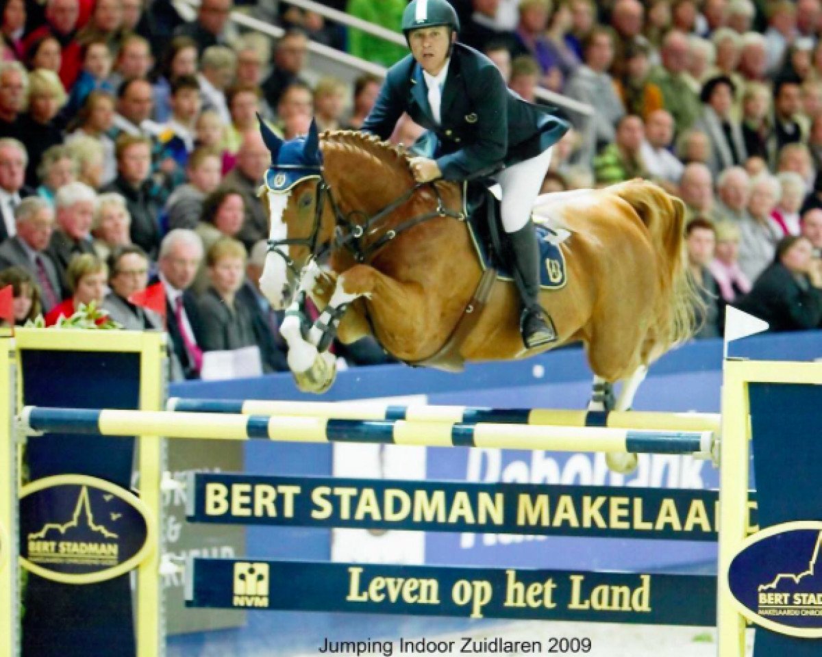 Pferd Walthery du Ri d'Asse (Belgisches Warmblut, 1999, von Skippy II)