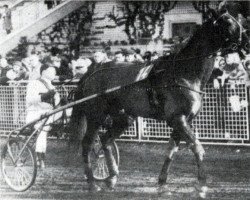 broodmare Infante II (FR) (French Trotter, 1952, from Hernani III (FR))