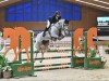 jumper Don Clarimo (German Sport Horse, 2019, from Clarimo Ask)