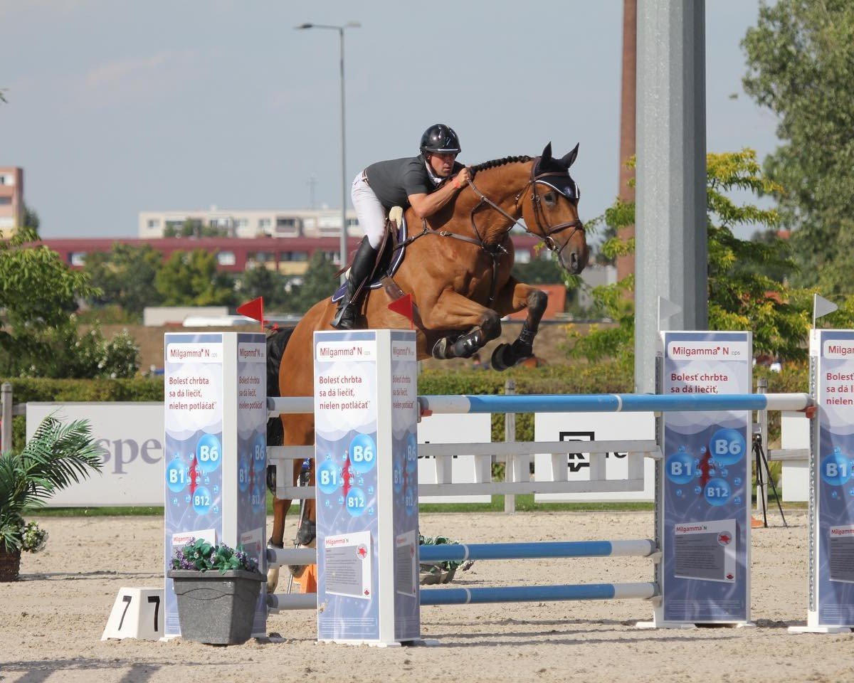 Springpferd Odille Vls (Belgisches Warmblut, 2014, von Ultimate de Kreisker)
