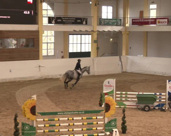Reitturnier Stadl-Paura 2024