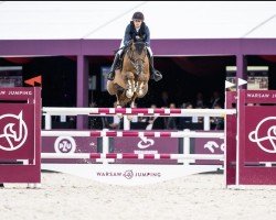 jumper Oliver Odeveld (Belgian Warmblood, 2014, from Tangelo van de Zuuthoeve)