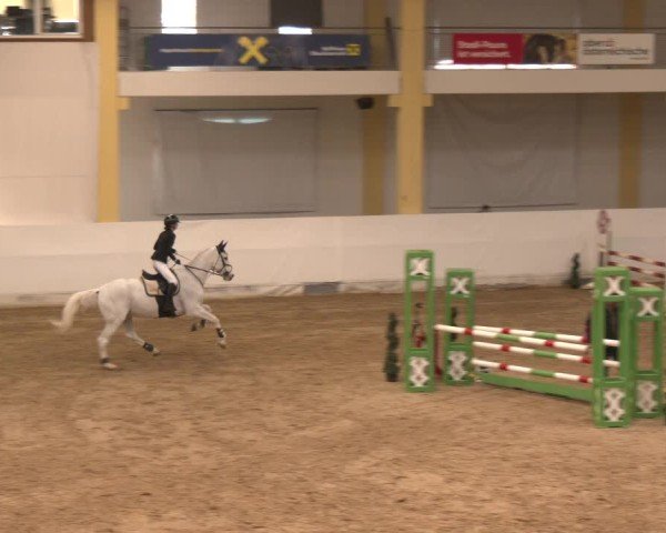 Reitturnier Stadl-Paura 2024
