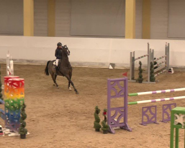 Reitturnier Stadl-Paura 2024