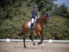 dressage horse Secret Glow (Oldenburg, 2016, from Self made)