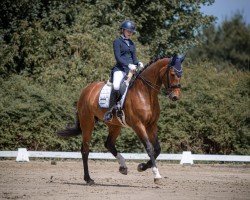 dressage horse Secret Glow (Oldenburg, 2016, from Self made)