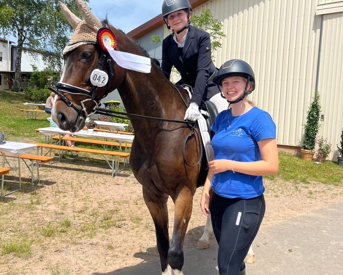 jumper Clinquinaro (Oldenburg show jumper, 2010, from Clinton H)