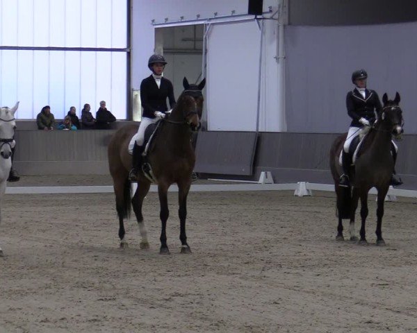 Reitturnier Münster-Handorf 2024
