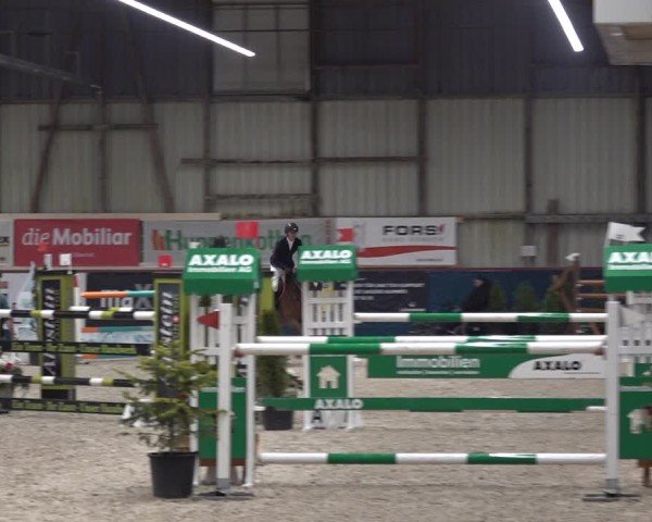 Reitturnier Oberriet 2024