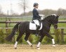 dressage horse Petterson 13 (German Riding Pony, 2012, from FS Pour l'Amour)