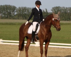 broodmare Feodora 118 (Hanoverian, 2011, from Fidertanz)