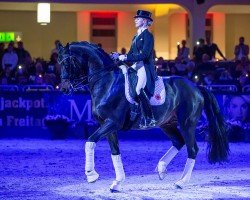 stallion Unee BB (KWPN (Royal Dutch Sporthorse), 2001, from Gribaldi)