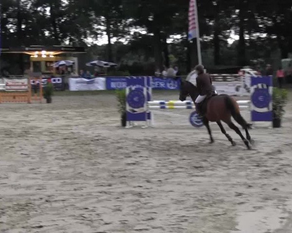 Datteln 2013