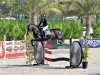 jumper Hangover (KWPN (Royal Dutch Sporthorse), 2012, from Canabis Z)