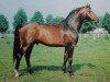 stallion Adept 2602 (Hanoverian, 1971, from Archimedes 4103)