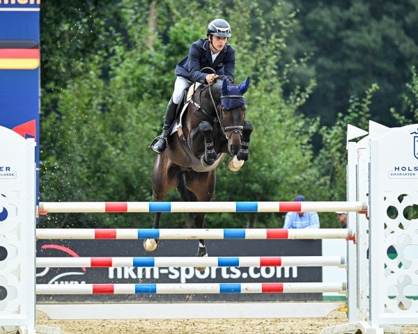 jumper Chepeggio T (German Warmblood, 2019, from Ab 19 Chepetto)