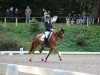 dressage horse Der Pate Lw (German Riding Pony, 2009, from FS Don't Worry)