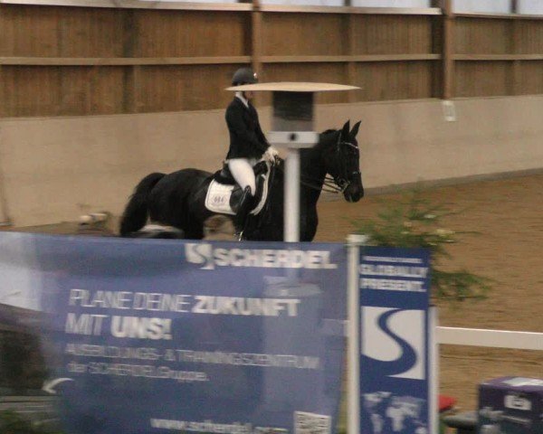 Reitturnier Marktredwitz-Haag/Ofr. 2024