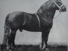 stallion Aldrup Munkedal 839 (Schleswig Heavy Draft, 1893, from Munkedal II 585)