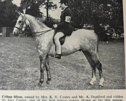 Pferd Criban Silver (British Riding Pony,  , von Bwlch Valentino)