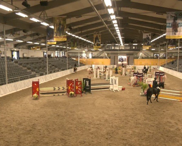 Reitturnier Verden 2024