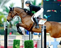 jumper Victor (KWPN (Royal Dutch Sporthorse), 2002, from Elmshorn)