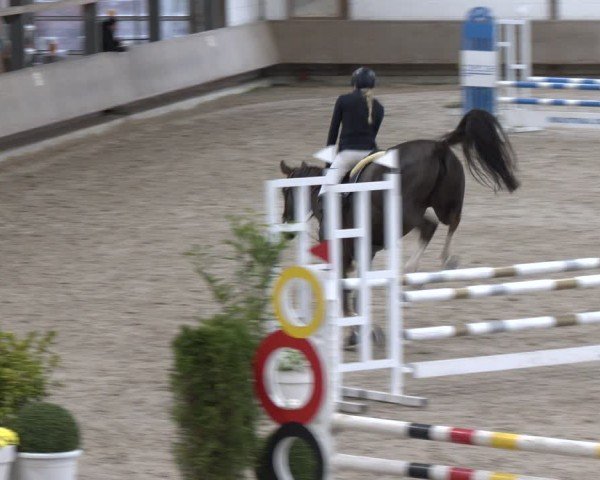 Reitturnier Langenfeld - Gut Langfort 2024