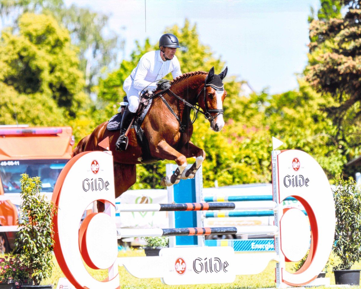 jumper Quinn Hw (Hanoverian, 2018, from Qualito)