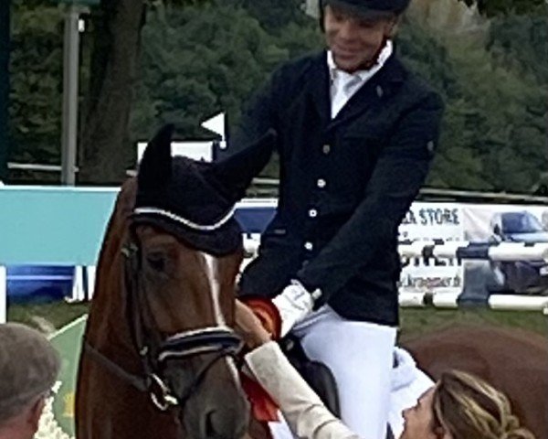 dressage horse Zickzack W (Hanoverian, 2019, from Zoom)