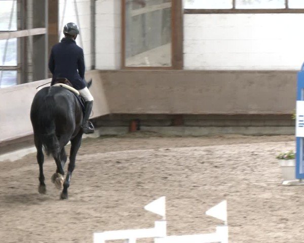 Reitturnier Langenfeld - Gut Langfort 2024