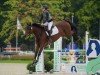 jumper Lady Di de Virton (Belgium Sporthorse, 2017, from Tresor de Virton)