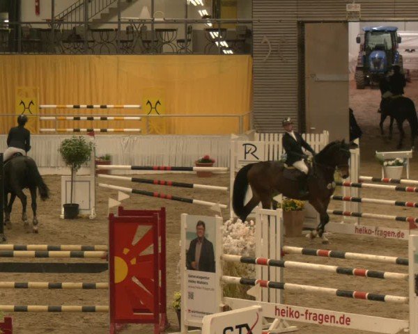 Reitturnier Verden 2024