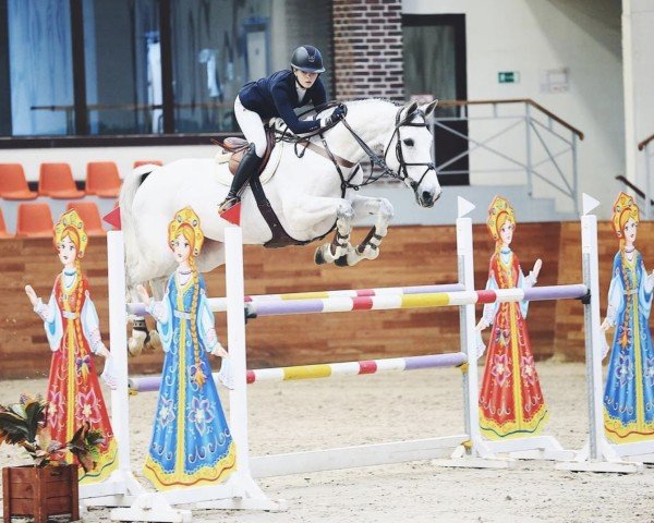 jumper Forever de l'Abbaye (Selle Français, 2015, from Nartago)