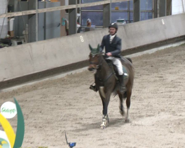 Reitturnier Langenfeld - Gut Langfort 2024