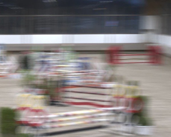 Reitturnier Langenfeld - Gut Langfort 2024