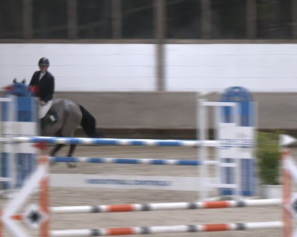 Reitturnier Langenfeld - Gut Langfort 2024