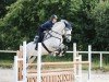 dressage horse My Corgar Cruise (Irish Sport Horse, 2013, from Ringfort Cruise)