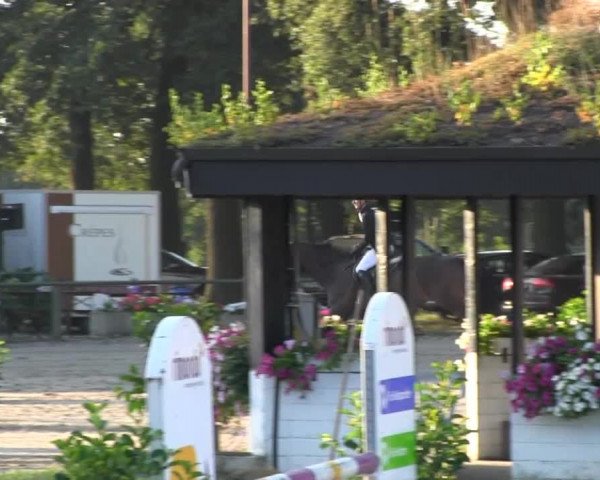 Datteln 2013