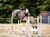 jumper Call me Koki (German Sport Horse, 2016, from Caitano)