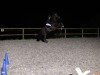 dressage horse Black Benito (German Sport Horse, 2018, from Bon Amour Cuivre)