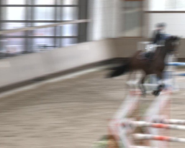 Reitturnier Langenfeld - Gut Langfort 2024