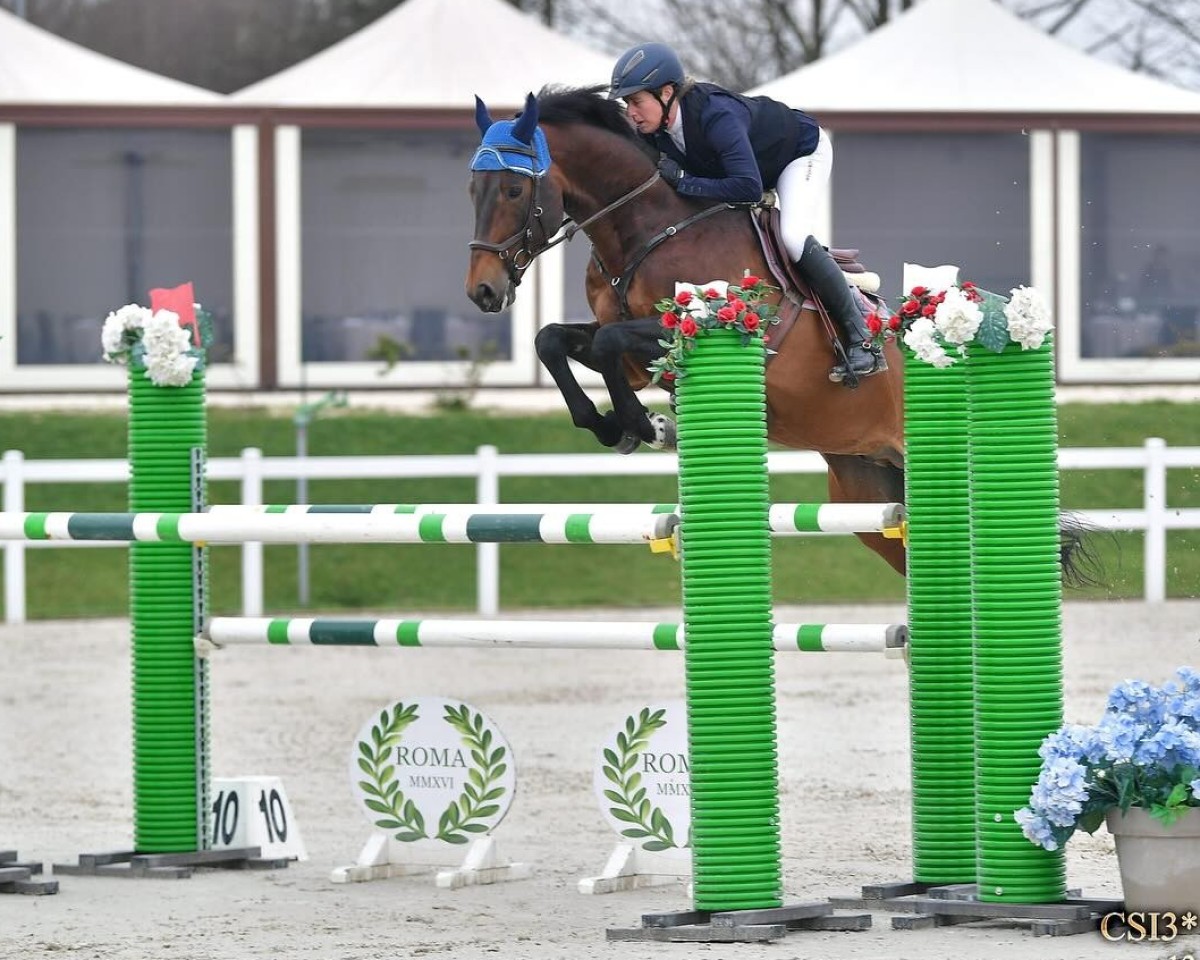 jumper Quickly Vom Eigen CH (Swiss Warmblood, 2017, from Quickly de Kreisker)