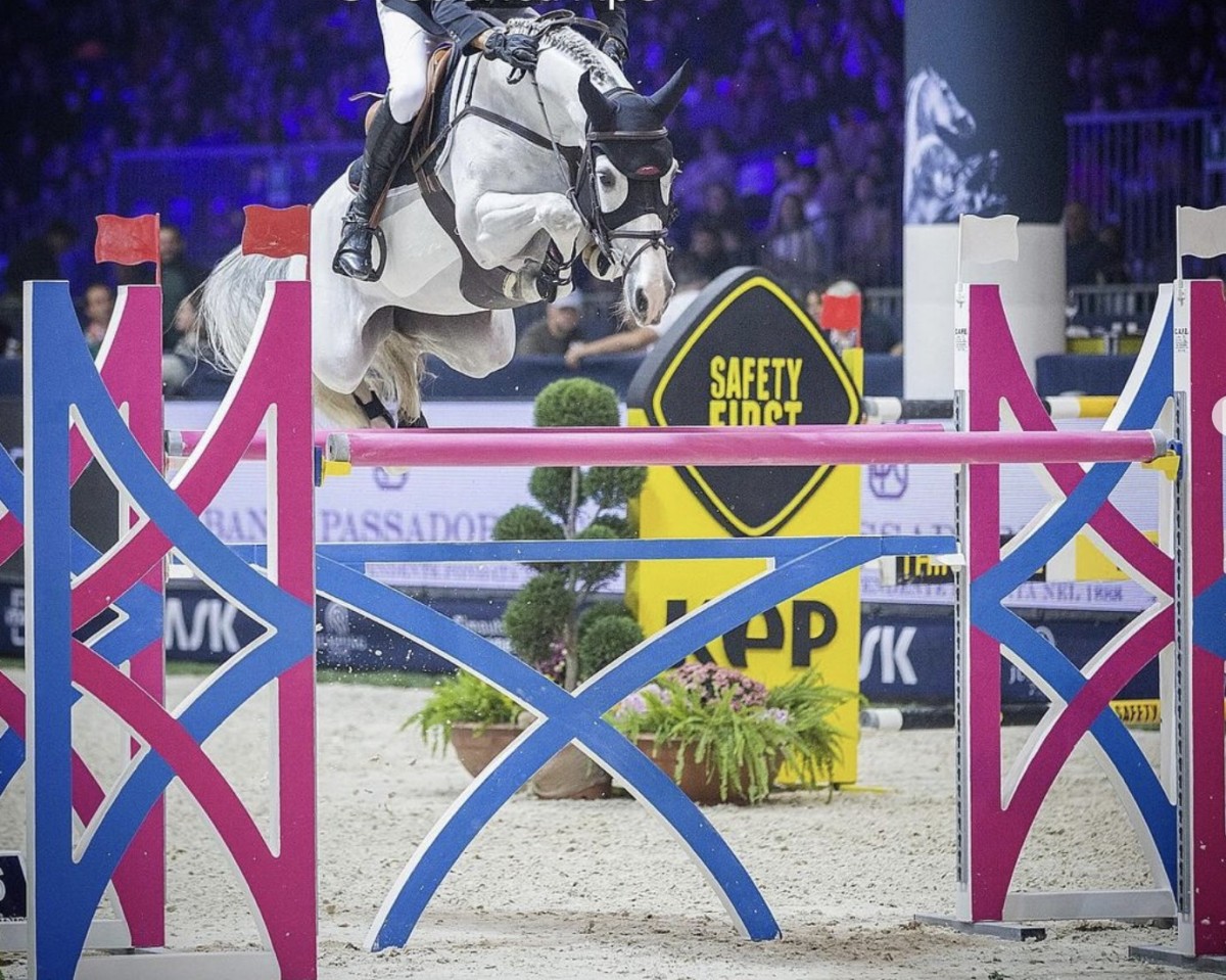 Springpferd Kiss Me Fabulesse (KWPN (Niederländisches Warmblut), 2015, von Scuderia 1918 Casago)