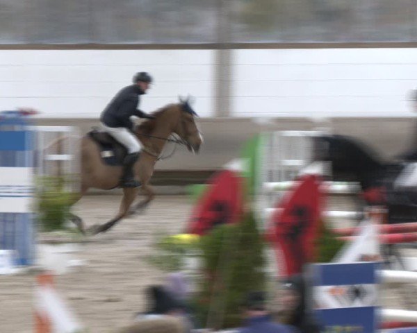 Reitturnier Langenfeld - Gut Langfort 2024
