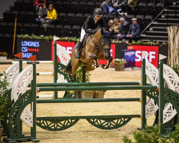 jumper Othello Vom Eigen (Swiss Warmblood, 2011, from Ouessant de Perhet)