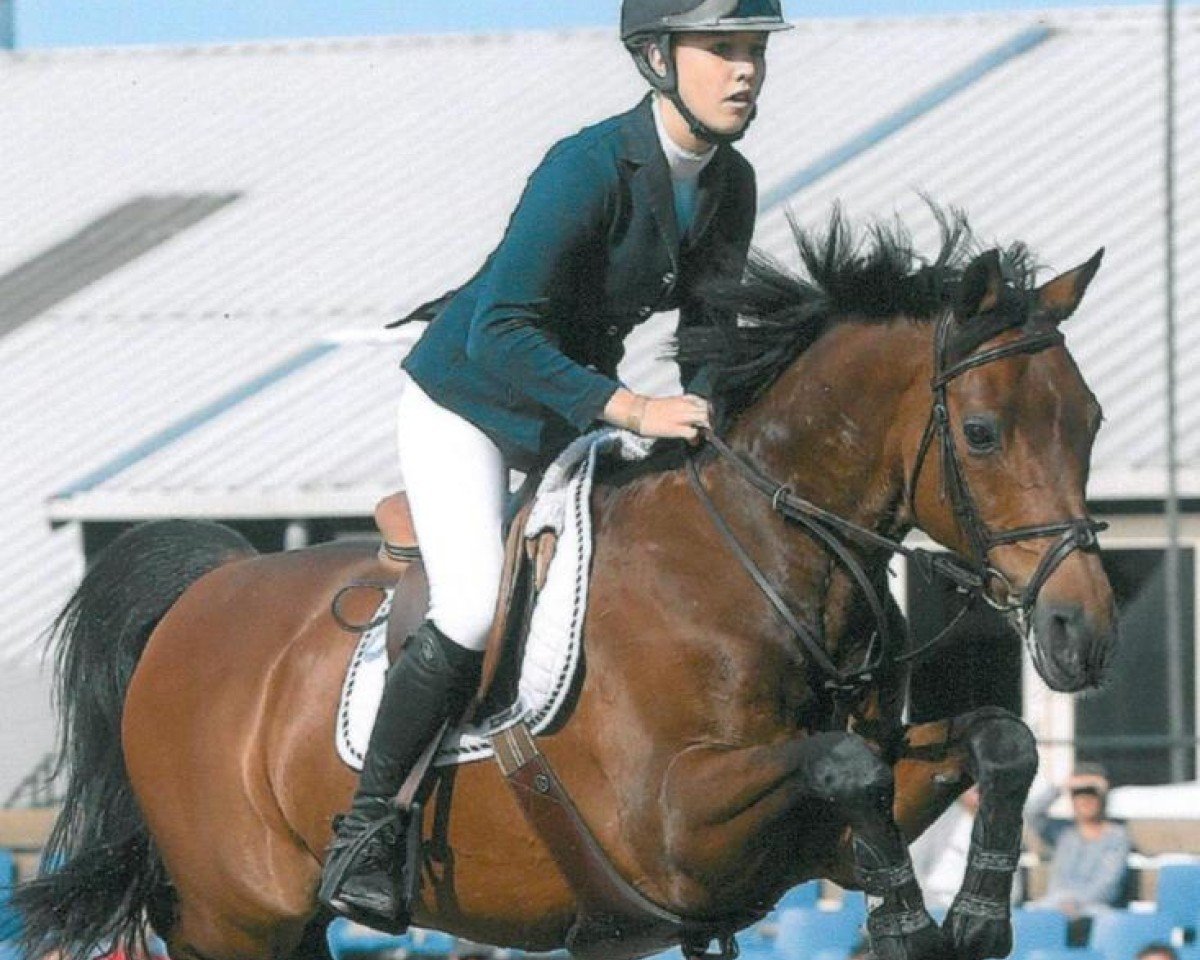 jumper Zorba du VI (Nederlands Rijpaarden en Pony, 1993, from Zodiak)