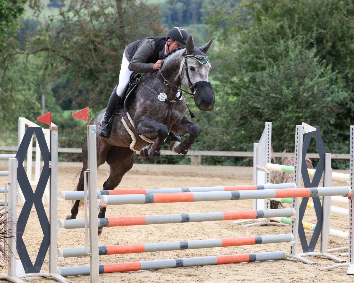 Springpferd Cäcilie K (Deutsches Sportpferd, 2019, von Cachacco Blue)