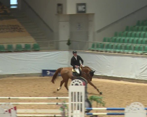 Reitturnier Kreuth/Opf. 2024